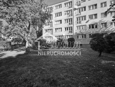 Zdjęcie 15762350