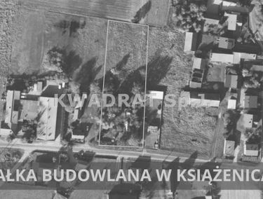 Zdjęcie 15763748