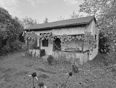 Zdjęcie 15764116