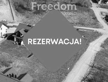 Zdjęcie 15764129