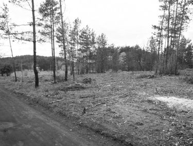 Zdjęcie 15764151
