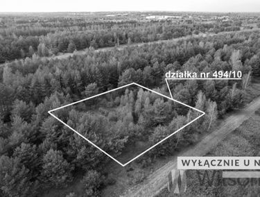 Zdjęcie 15765042