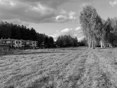 Zdjęcie 15765113