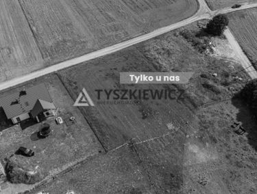 Zdjęcie 15766432