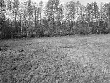 Zdjęcie 15766575