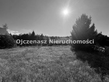 Zdjęcie 15767462
