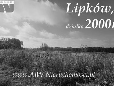Zdjęcie 15768180