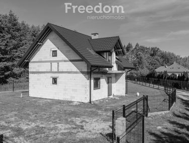 Zdjęcie 15768490