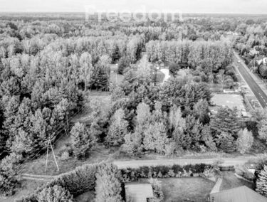 Zdjęcie 15770547