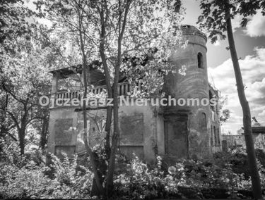 Zdjęcie 15770618