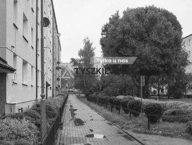 Zdjęcie 15771643
