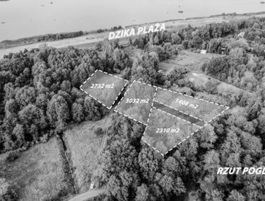 Zdjęcie 15772245
