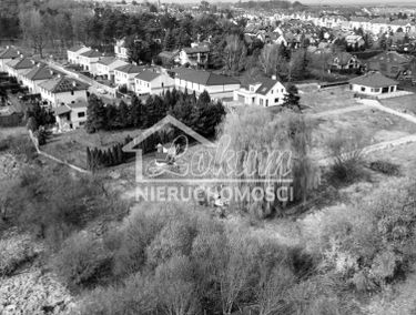Zdjęcie 15772443