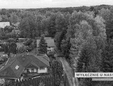 Zdjęcie 15772488