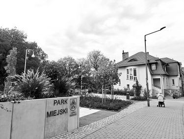 Zdjęcie 15773030