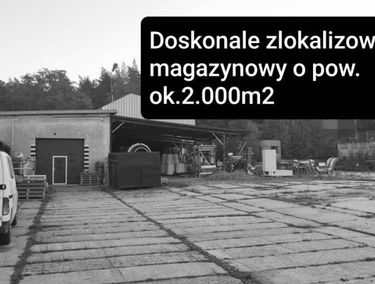 Zdjęcie 15774543
