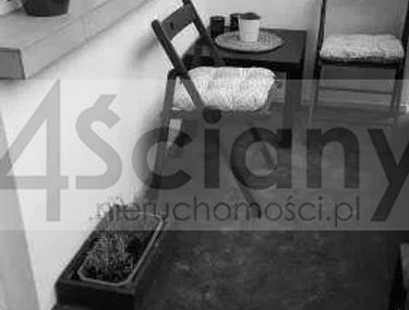 Zdjęcie 15775886