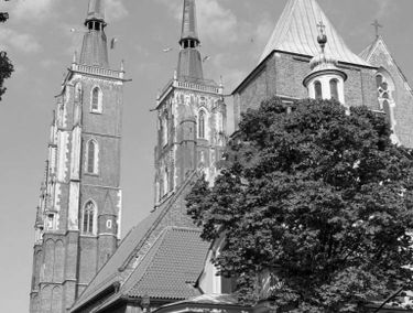 Zdjęcie 15775922