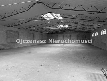 Zdjęcie 15776689