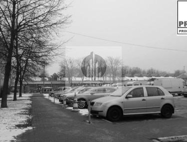 Zdjęcie 15777105