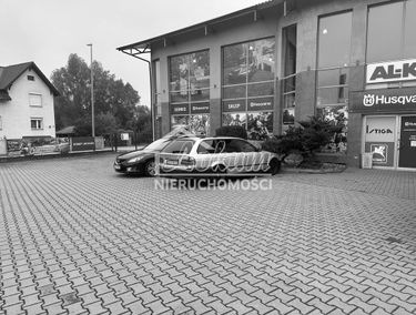 Zdjęcie 15777159