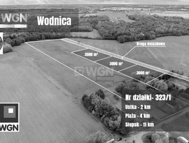 Zdjęcie 15778324
