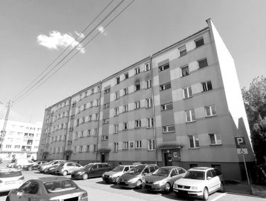 Zdjęcie 15778852