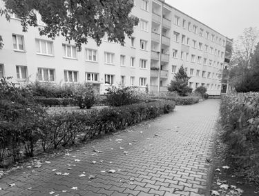 Zdjęcie 15778982