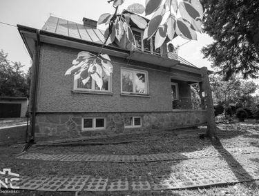 Zdjęcie 15779038