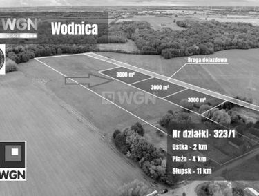 Zdjęcie 15779119
