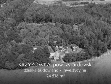 Zdjęcie 15779923