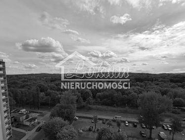 Zdjęcie 15780721
