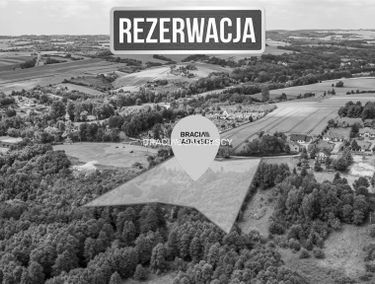 Zdjęcie 15781369