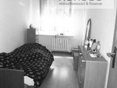 Zdjęcie 15781955