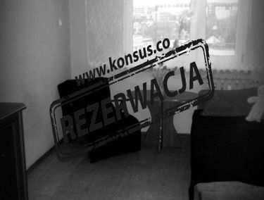 Zdjęcie 15782009