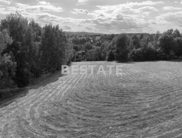 Zdjęcie 15782706
