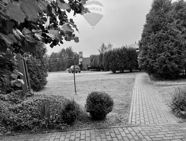 Zdjęcie 15784813