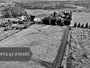 Zdjęcie 15784841