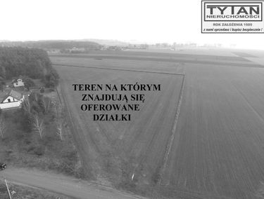 Zdjęcie 15785433