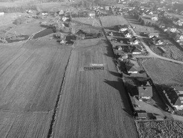 Zdjęcie 15786615
