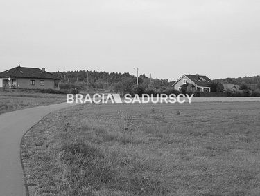 Zdjęcie 15786885