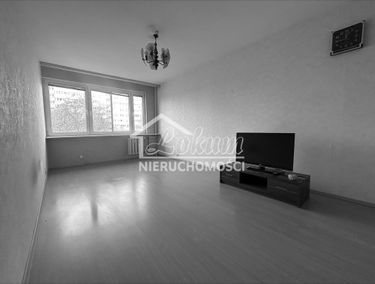 Zdjęcie 15787307
