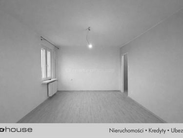 Zdjęcie 15787310