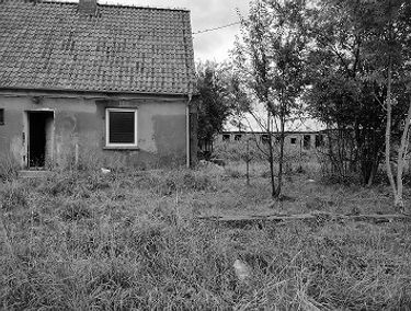 Zdjęcie 15787562