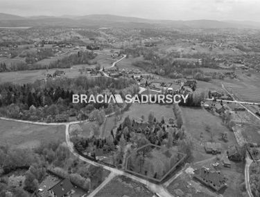 Zdjęcie 15788281
