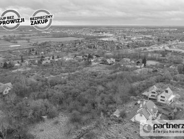 Zdjęcie 15790576