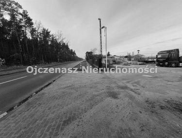 Zdjęcie 15790756