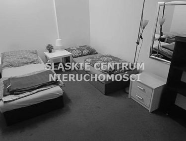 Zdjęcie 15791199