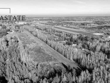 Zdjęcie 15791244