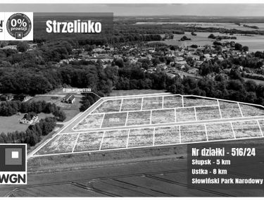 Zdjęcie 15791394